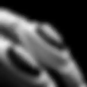 RISC™ fingers