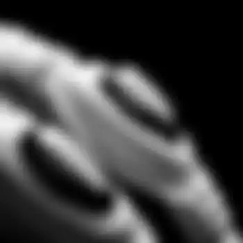 RISC™ fingers