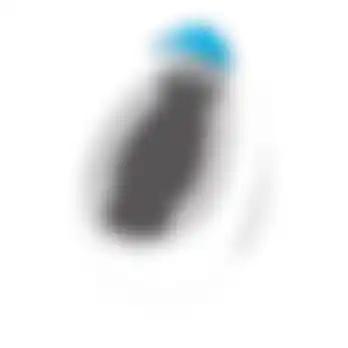 Chin Curtain, i100