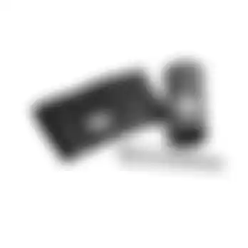 Forkseal