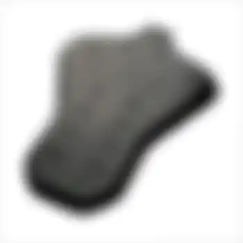 CE Level 2 back protection